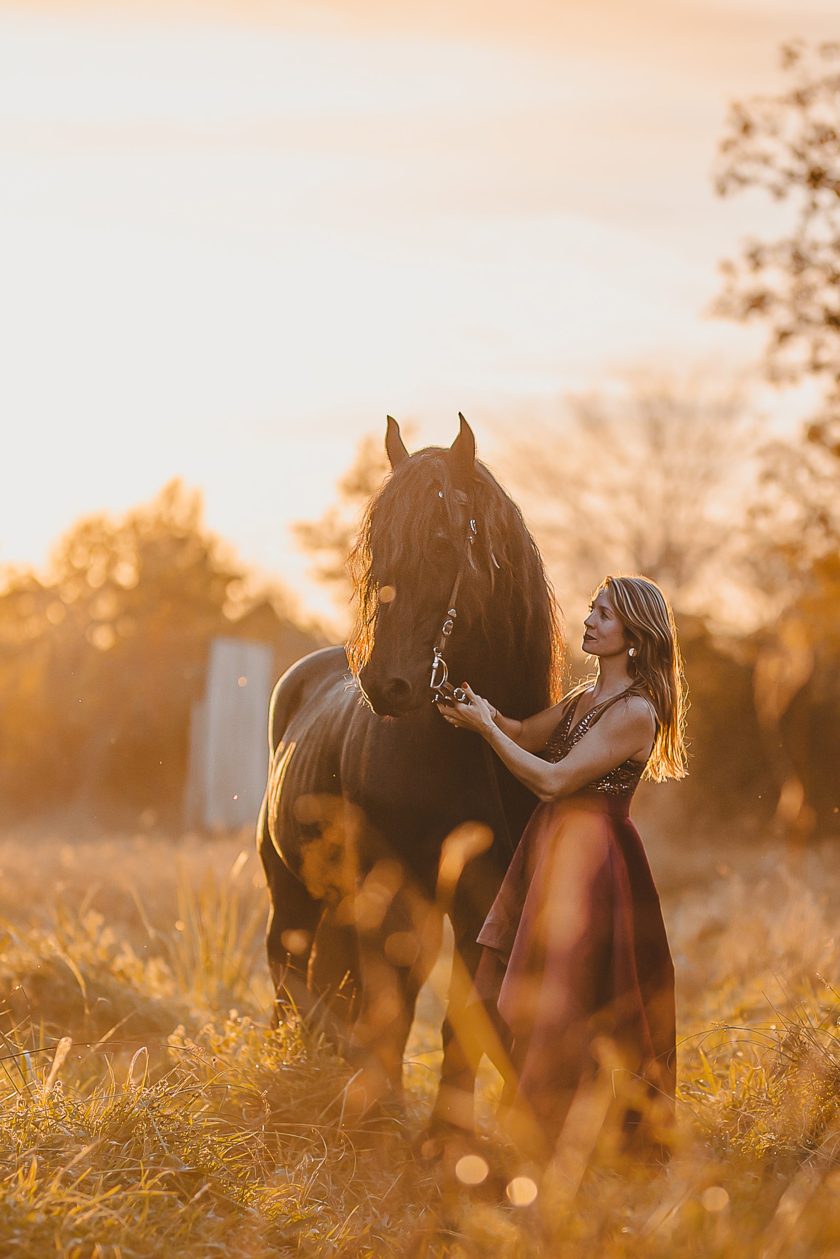 séance photo avec votre animal